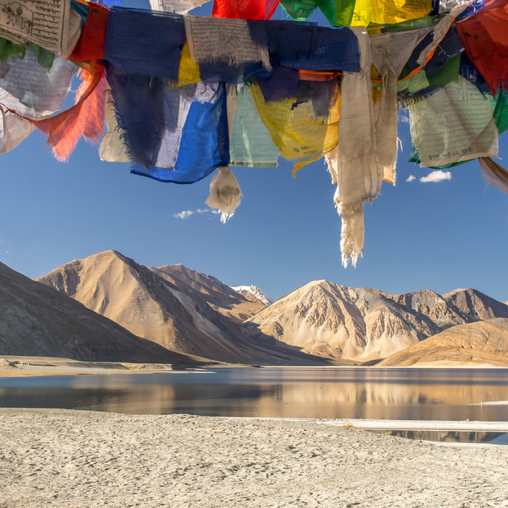 6 Days – Wonderful Ladakh-TSD - 25