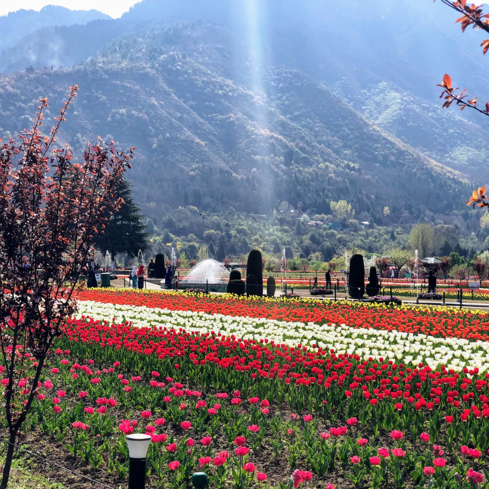 07 DAYS- DELUXE KASHMIR TOUR-TSD-21