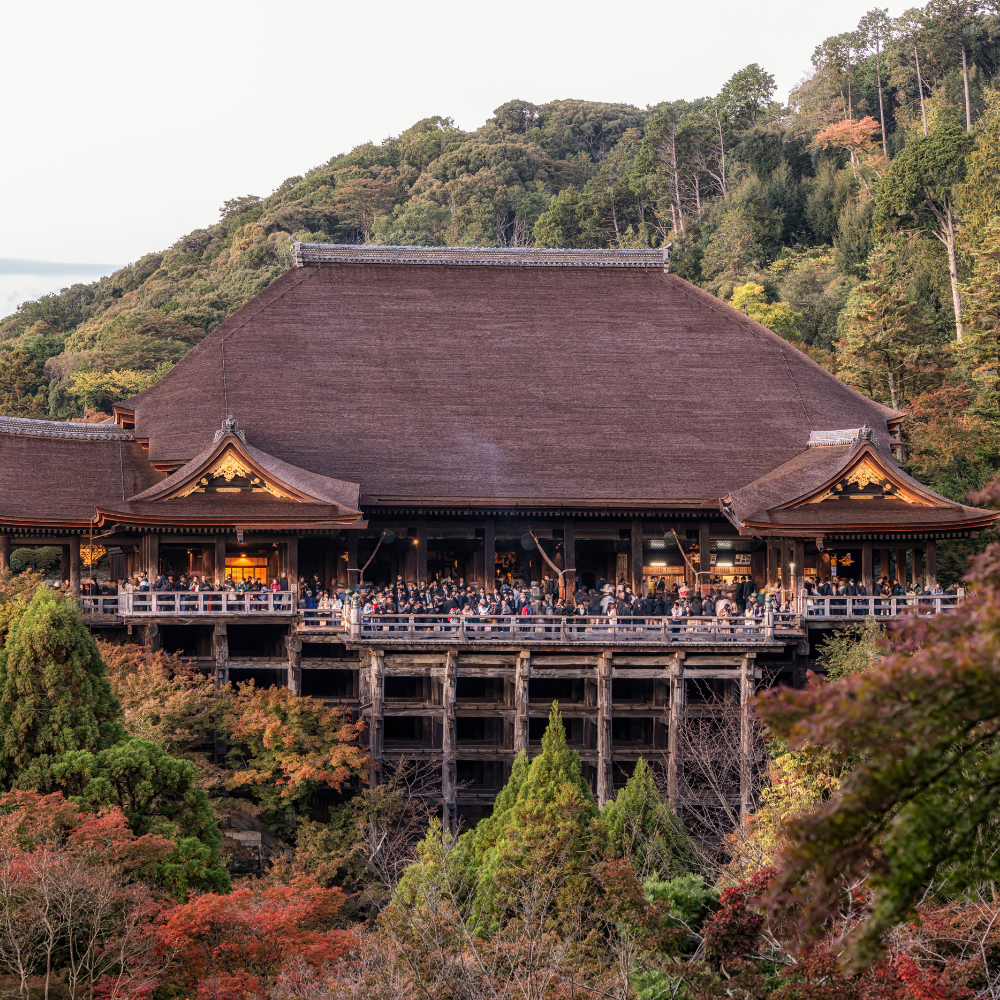 9 Days – Japan Autumn Delights-TSI – 35