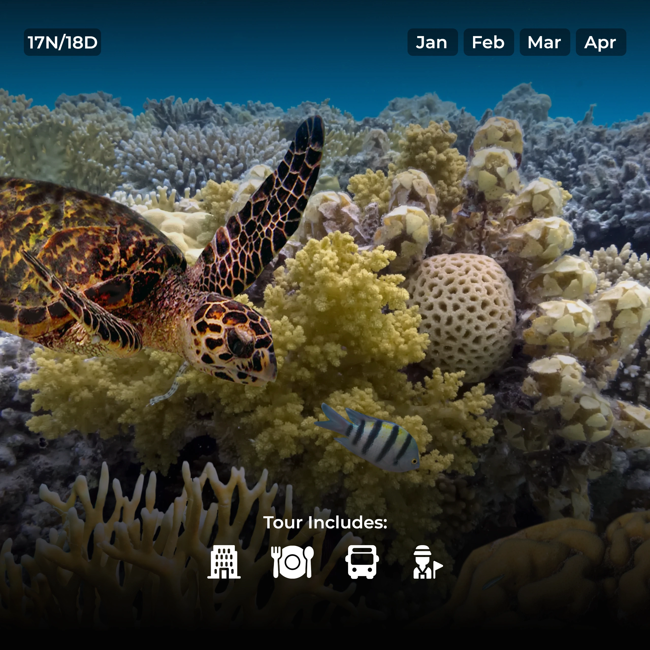 18 Days – Australia & New Zealand- TSI-59