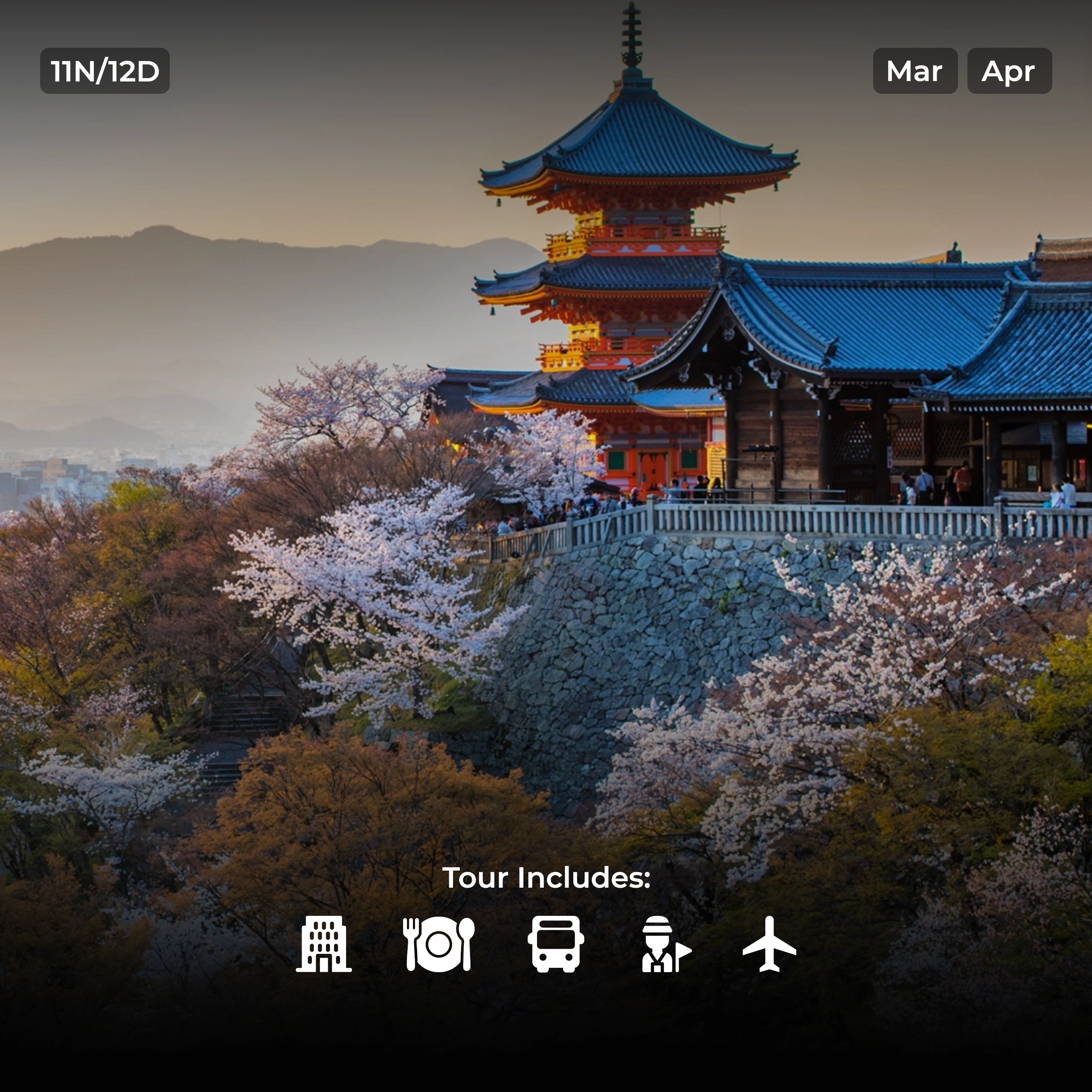 12 Days - Japan & Korea Delights TSI-7